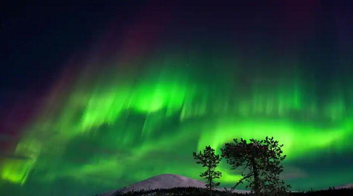 Aurora Borealis: Northern lights turn England skies into stunning tones of crimson, magenta