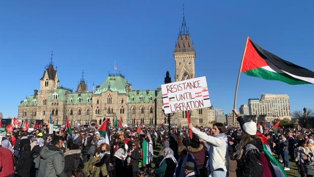 Pro-Palestinian marches held across Canada amid global protests