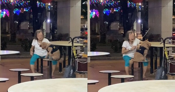 SPCA escalates case to authorities after elderly woman seen waving cane and threatening dog in Pek Kio market , Singapore News