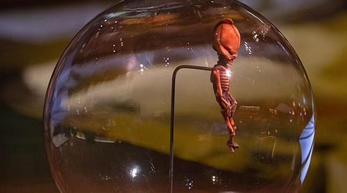 NOT ALIEN: Chile’s Atacama skeleton most likely fetus from lost human race, claims UFO expert