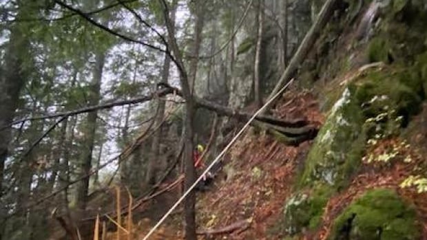 Non-existent trail removed from Google Maps after another rescue in Vancouver’s North Shore mountains