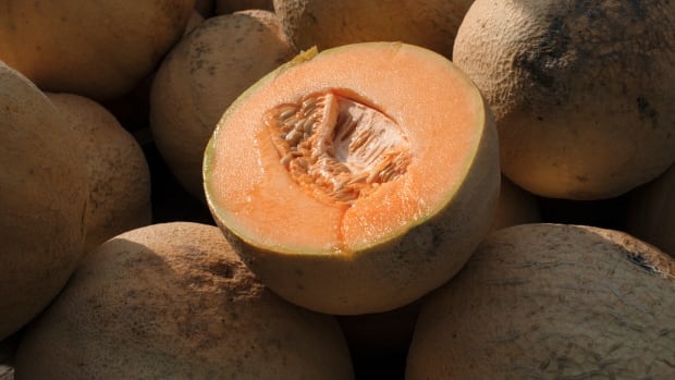 Dozens sickened with salmonella after eating cantaloupes in Canada, U.S.