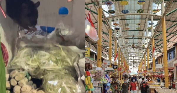 ‘Disgusted’: Woman spots 5 rats munching on vegetables at Bukit Panjang market, warns other shoppers, Singapore News