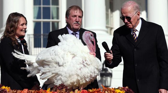 Turkey Pardon 2023: Joe Biden saves Liberty, Bell from Thanksgiving chopping block at White House