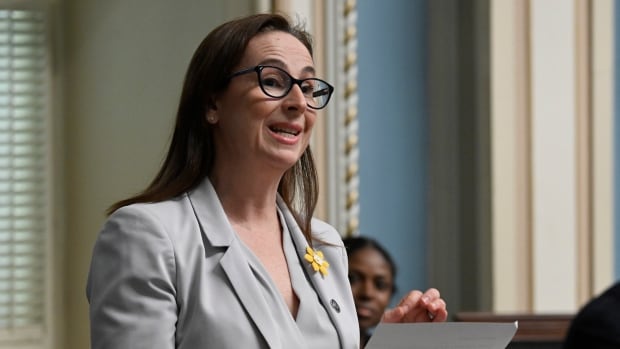 After 5 miscarriages and a stillbirth, Quebec MNA draws attention to perinatal loss