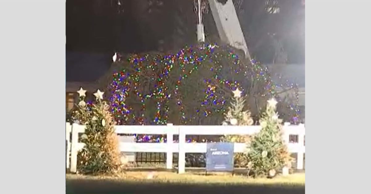 Strong winds topple National Christmas Tree outside White House