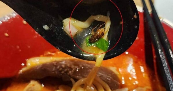 I vomited thrice, says diner who found cockroach in half-eaten ramen, Singapore
